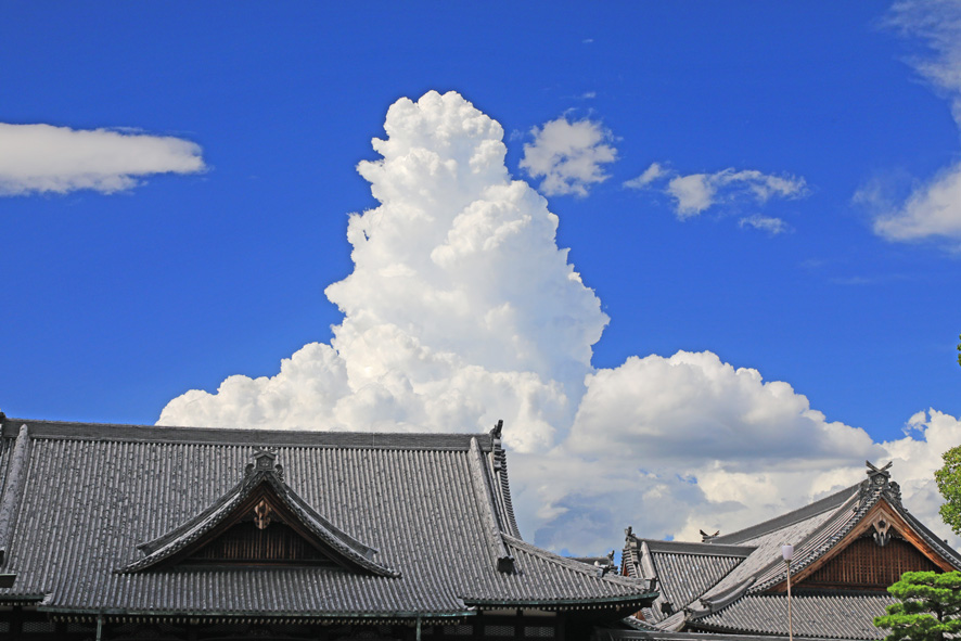 人類の故郷、おぢばの夏空